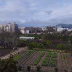 Quinta CSA - Setúbal